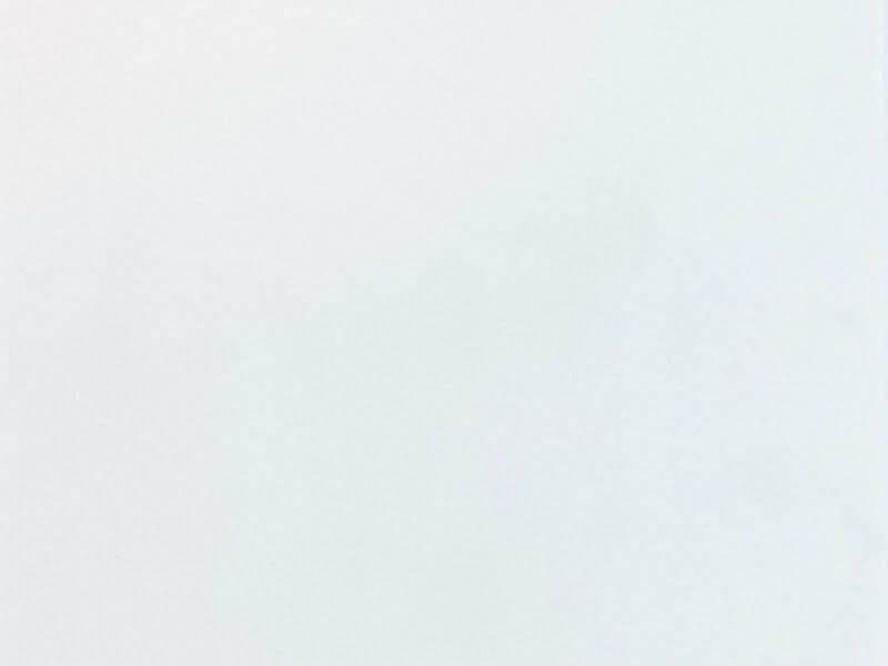 Bianco Absoluto Quartz